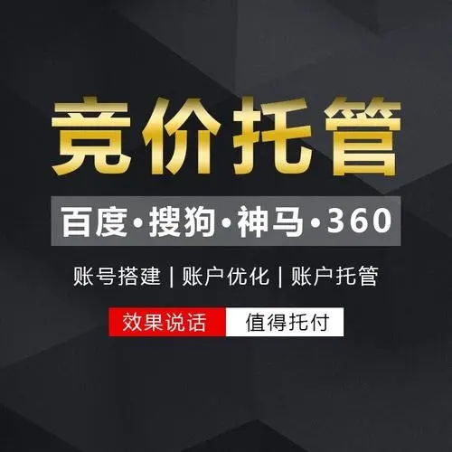 东莞网站竞价推广代运营